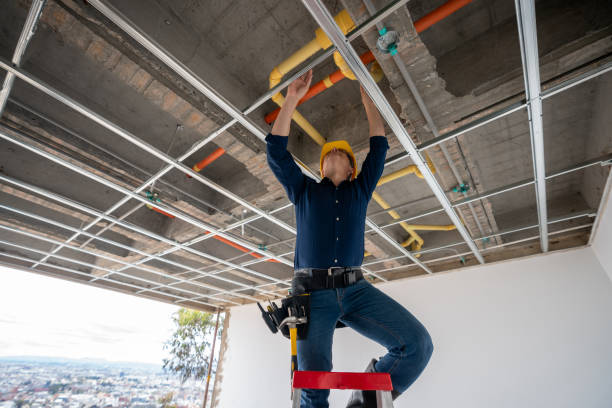 Best Residential Plumbing Services  in Comer, GA